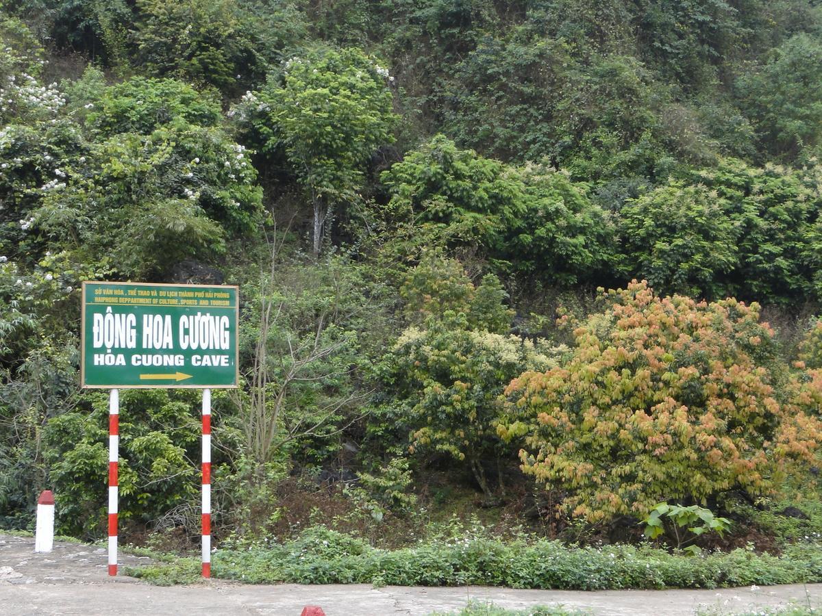 Anh Thuan Hotel 1 Cat Ba Island Exterior photo